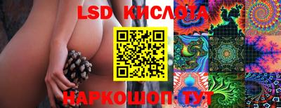 прущие крисы Будённовск