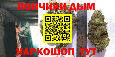 прущие крисы Будённовск